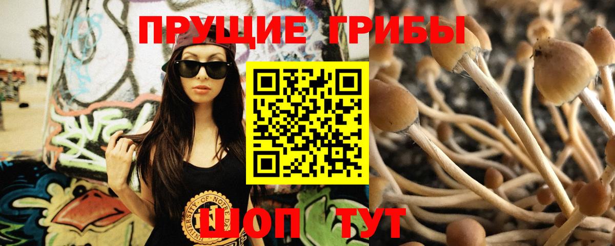 наркота  Псилоцибиновые грибы MAGIC MUSHROOMS  Галлюциногенные грибы мицелий  Вход с VPN  Вязники 