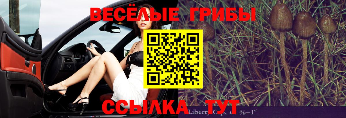 Псилоцибиновые грибы ЛСД Вязники